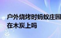 户外烧烤时蚂蚁庄园 可以直接把液体酒精倒在木炭上吗