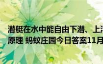 潜艇在水中能自由下潜、上浮，是借鉴了鱼什么器官的工作原理 蚂蚁庄园今日答案11月11日