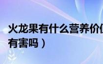 火龙果有什么营养价值（火龙果经常吃对身体有害吗）