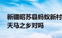 新疆昭苏县蚂蚁新村 新疆昭苏县被誉为中国天马之乡对吗