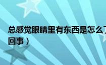 总感觉眼睛里有东西是怎么了（总感觉眼睛里有东西是怎么回事）