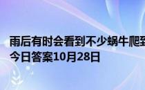 雨后有时会看到不少蜗牛爬到水泥墙上是在做什么 蚂蚁庄园今日答案10月28日