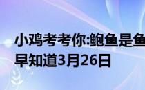 小鸡考考你:鲍鱼是鱼类吗 蚂蚁庄园今日答案早知道3月26日