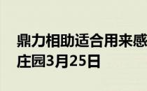 鼎力相助适合用来感谢别人吗 鼎力相助蚂蚁庄园3月25日