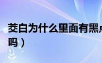 茭白为什么里面有黑点（茭白中间黑了可以吃吗）