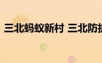 三北蚂蚁新村 三北防护林体系建设工程3.24