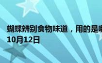 蝴蝶辨别食物味道，用的是哪个身体部位 蚂蚁庄园今日答案10月12日