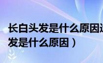 长白头发是什么原因造成的吃什么好（长白头发是什么原因）