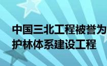 中国三北工程被誉为 蚂蚁新村中国的三北防护林体系建设工程