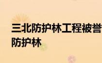 三北防护林工程被誉为中国的 蚂蚁新村三北防护林