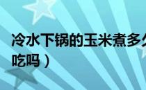 冷水下锅的玉米煮多久（玉米用热水烫一下能吃吗）