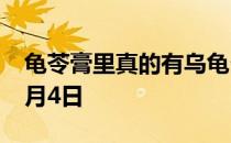 龟苓膏里真的有乌龟么 蚂蚁庄园今日答案10月4日