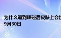 为什么遭到磕碰后皮肤上会出现乌青块？ 蚂蚁庄园今日答案9月30日