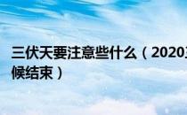 三伏天要注意些什么（2020三伏天从什么时候开始到什么时候结束）