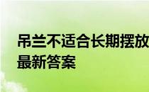 吊兰不适合长期摆放在卧室吗 吊兰蚂蚁庄园最新答案