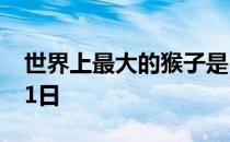 世界上最大的猴子是 蚂蚁庄园今日答案10月1日