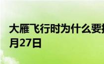 大雁飞行时为什么要排队 蚂蚁庄园今日答案9月27日