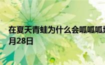 在夏天青蛙为什么会呱呱呱地叫个不停 蚂蚁庄园今日答案9月28日