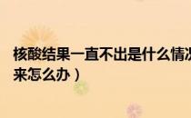 核酸结果一直不出是什么情况（核酸检测结果24小时还没出来怎么办）