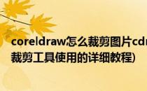 coreldraw怎么裁剪图片cdr裁剪工具怎么用(coreldraw中裁剪工具使用的详细教程)