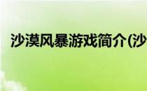 沙漠风暴游戏简介(沙漠风暴游戏简介内容)