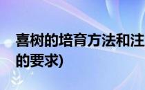 喜树的培育方法和注意事项(喜树的生长环境的要求)