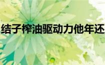 结子榨油驱动力他年还立柱石功蚂蚁新村答案