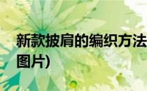 新款披肩的编织方法(新款披肩的编织方法和图片)