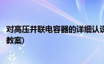 对高压并联电容器的详细认识(对高压并联电容器的详细认识教案)