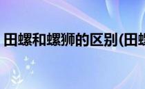 田螺和螺狮的区别(田螺和螺狮的区别是什么)