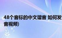 48个音标的中文谐音 如何发音(48个音标的中文谐音 如何发音视频)