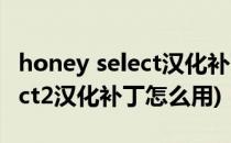 honey select汉化补丁如何使用(honey select2汉化补丁怎么用)