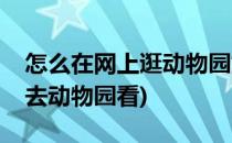 怎么在网上逛动物园如何在线逛百度动物园(去动物园看)