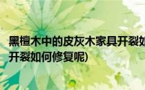 黑檀木中的皮灰木家具开裂如何修复(黑檀木中的皮灰木家具开裂如何修复呢)