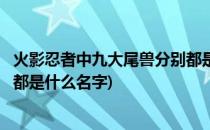 火影忍者中九大尾兽分别都是什么(火影忍者中九大尾兽分别都是什么名字)