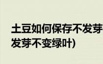 土豆如何保存不发芽不变绿(土豆如何保存不发芽不变绿叶)