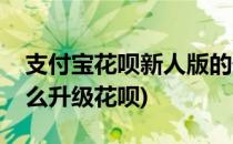 支付宝花呗新人版的升级步骤(花呗新人版怎么升级花呗)