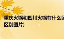 重庆火锅和四川火锅有什么区别(重庆火锅和四川火锅有什么区别图片)