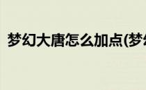 梦幻大唐怎么加点(梦幻大唐怎么加点2020)