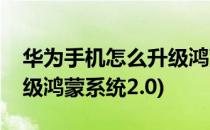 华为手机怎么升级鸿蒙系统(华为手机怎么升级鸿蒙系统2.0)