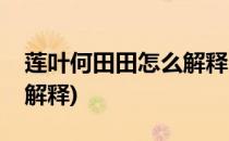 莲叶何田田怎么解释(莲叶何田田的田田怎么解释)