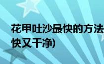 花甲吐沙最快的方法最干净(花甲怎样吐沙又快又干净)