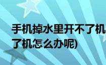 手机掉水里开不了机怎么办(手机掉水里开不了机怎么办呢)