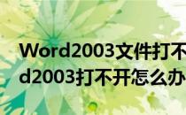 Word2003文件打不开该怎么办(电脑上word2003打不开怎么办)