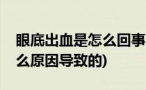 眼底出血是怎么回事(眼底出血是怎么回事什么原因导致的)