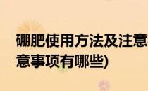 硼肥使用方法及注意事项(硼肥使用方法及注意事项有哪些)