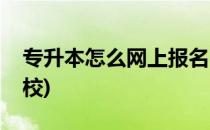 专升本怎么网上报名(专升本怎么网上报名学校)