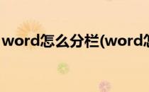 word怎么分栏(word怎么分栏并添加分隔线)