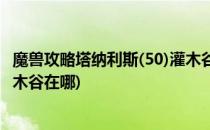 魔兽攻略塔纳利斯(50)灌木谷灌木兽任务怎么做(魔兽世界灌木谷在哪)