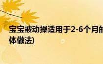 宝宝被动操适用于2-6个月的宝宝(2-6个月宝宝被动操的具体做法)